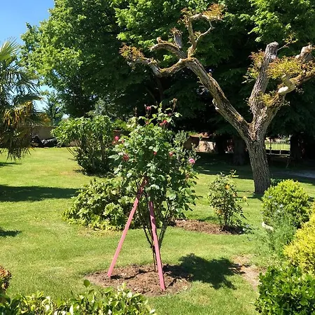 Anani 9/p+1bb Piscine Chauffee וילה Barbezieux-Saint-Hilaire